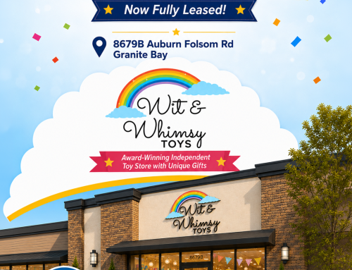 New Lease! Wit & Whimsy Toys