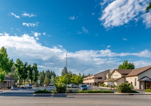 471 Sutton Way, Grass Valley, California,Office,For Lease,Sutton,1315 471 Sutton Way, Grass Valley, California,Office,For Lease,Sutton,1315